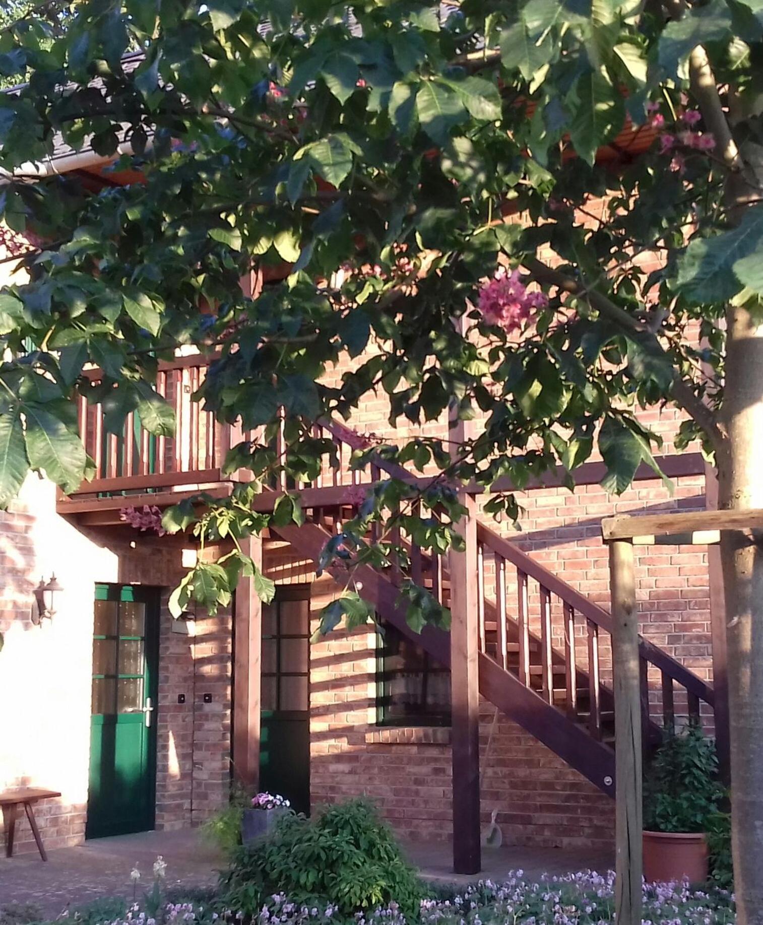 Ferienwohnung Kastanienhof Burg  Exterior foto